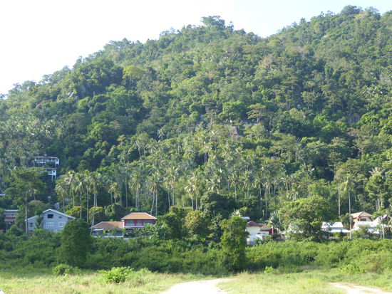 Samui Pink House - hinten am Hügel mit dem roten Dach