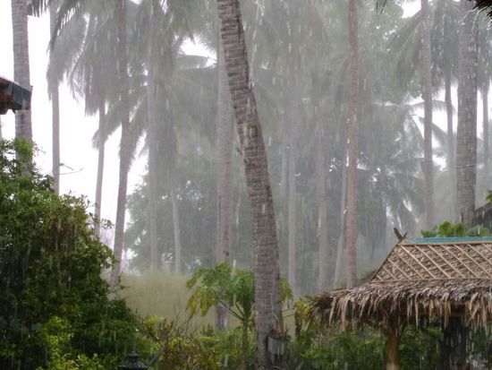 Tropenschauer - eine viertel Stunde später schien die Sonne wieder!