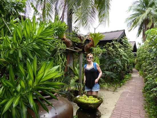 das Resort ist sehr schmal - auf einer Seite die Häuschen und auf der anderen der Weg