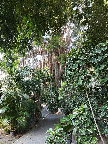 In diesem Resort waren wir schon vor vielen Jahren. Mittlerweile sind die Bungalows schon etwas in die Jahre gekommen, aber der Garten mit den 2 Swimmingpools ist immer noch sehr schön.