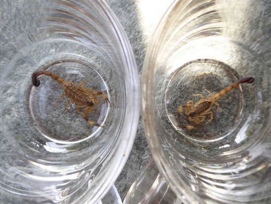 fast wieder vereint !