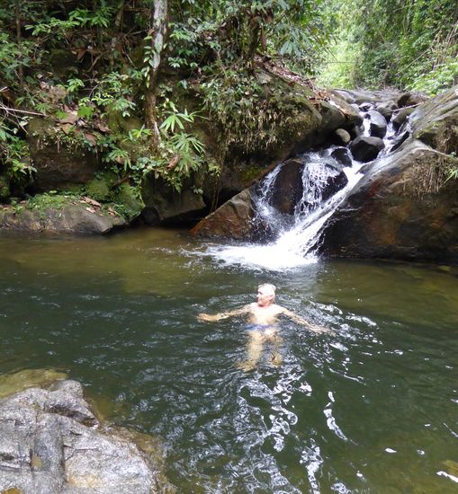 SPA-Fische unter sich