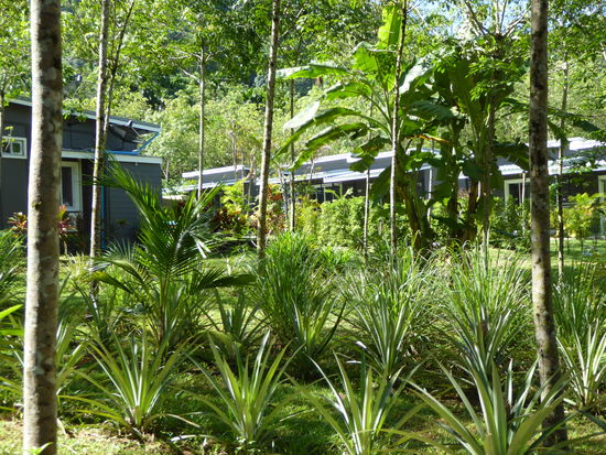 das Herbal liegt schön inmitten der Natur