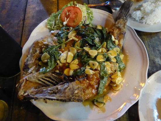 Abendprogramm: köstlichen Fisch und ...