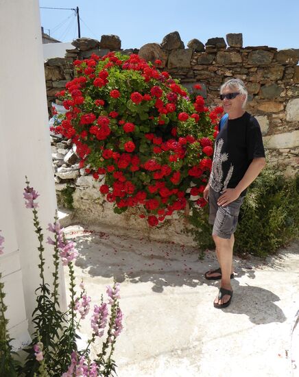 aber mit schönen Blumenschmuck vor den Häusern