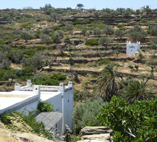 hier gibt es noch einige Taubentürme, ein Vermächtnis der Venezianer