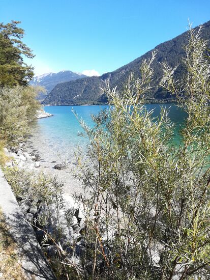 Der zwischen den Bergen eingebettete Achensee ist der größte See Tirols - 8,4 km lang und bis zu 1 km breit und bis zu 133 Meter tief. Er hat eine hervorragende Wasserqualität und gehört zum Naturschutzgebiet Karwendel. Im Sommer wird er selten wärmer als 20°C und ist daher seeeehr erfrischend zum Schwimmen.