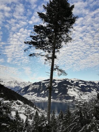 alleine unterwegs ins Tal