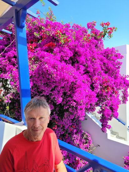 kein Zimmer mit Meerblick - aber mit Blick auf ein Blumenmeer
