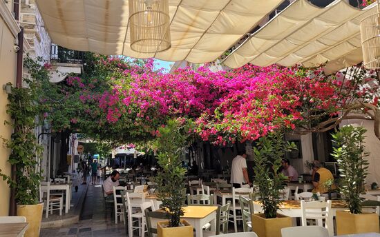 hier im Seminario haben wir mit einem guten Essen Abschied von Syros gefeiert