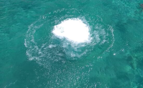 ... und wo ist er jetzt?