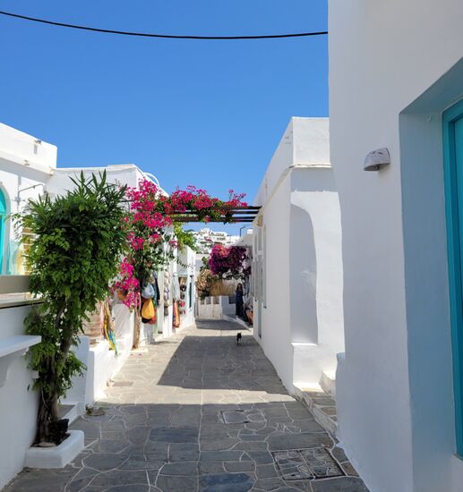 Die Hauptgasse in Apollonia ist im unteren Teil schick, mit vielen Tavernen und ganz tollen, teuren Läden. Die Schmuckgeschäfte und -ateliers zeigen hier ganz besondere Stücke. Ich wäre überfordert, wenn ich mir etwas aussuchen müsste (gottseidank habe ich das schon im Ermoupolis dürfen!).