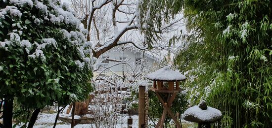 Wir genießen den Frühling und Zuhause schneit es (Foto von heute morgen)!
