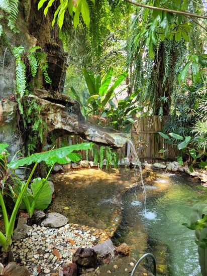 Dschungeltauchbecken für die Sauna