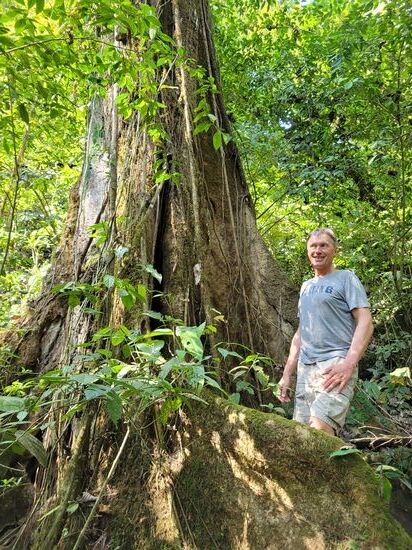 ehrfürchtig betrachteten wir die riesige Bäume, gewachsen in mehr als 300 Jahren - der älteste hat sogar einen Namen: Don Bateo