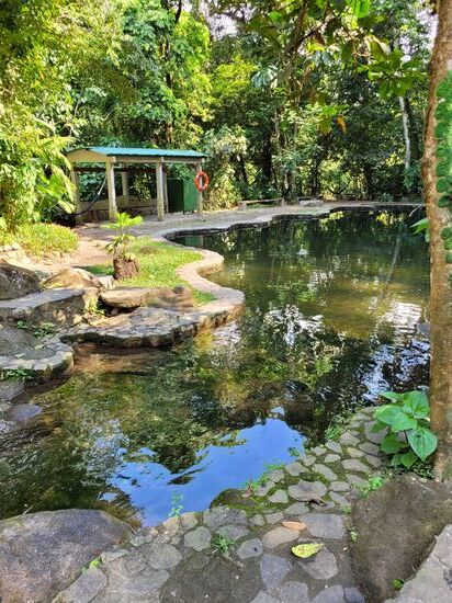 ein Naturschwimmbecken mitten im Dschungel