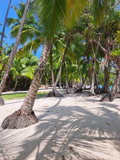 auf dieser schönen Insel ...