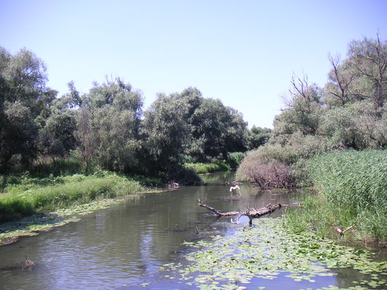 Geht es hier weiter?