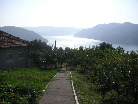 Obstgarten mit Donaublick