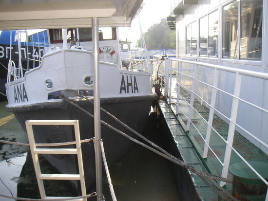 Keine Berührungsängste beim Anlegen