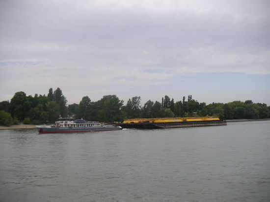 Oberhalb der Margaretheninsel kommt uns die "Tatabanya", ein Schwesternschiff der "Sopron" und "Inota" entgegen, die 3 Bargen und das neu errungene Schiff von Lajos im Schlepptau zieht.