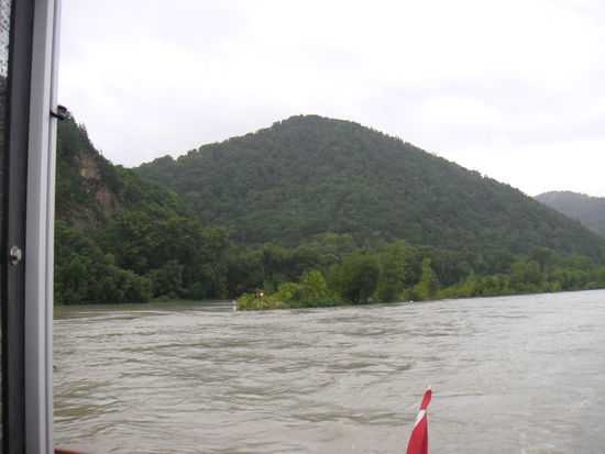 Die Strömung ist gewaltig und es schwimmen schon viele Bäume im Wasser.