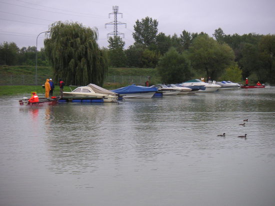 und die Stege des Heeressportvereines samt Booten in den Behördenhafen gebracht.