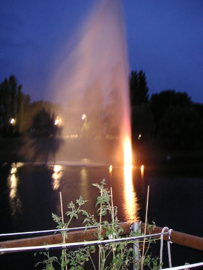 Die Fontäne regt auch unsere Tomatenstauden zum Wachsen an