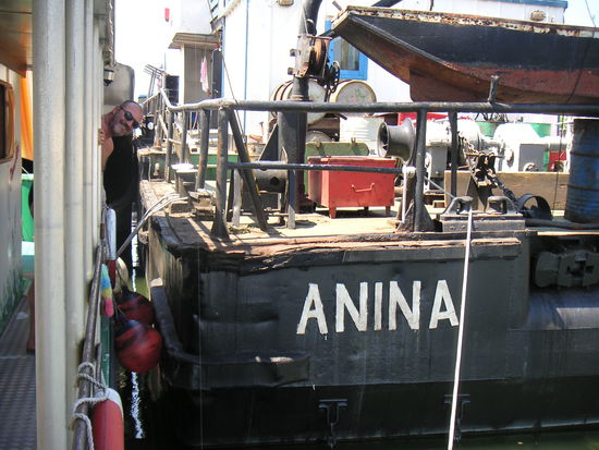 Kuscheln mit "Anina"
KM 930 LU
