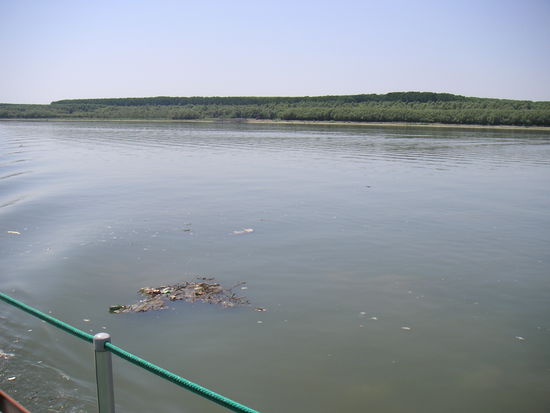 Hier lädt die Donau nicht zum Baden ein