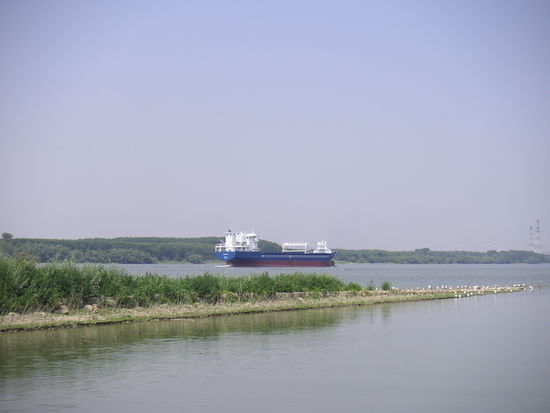 Ungewohnte Anblicke
Insel Veriga
KM 161 RU