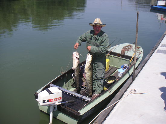 Unser Abendessen fangfrisch
