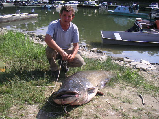 Der Fisch hat 20 kg mehr als der Fischer