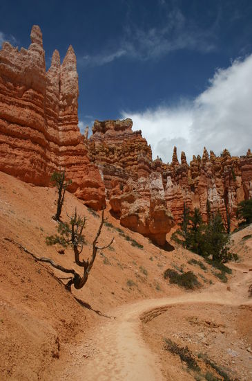 Queens Garden Trail im Bryce Canyon