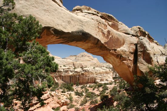 Hickman Bridge im Capitol Reef NP