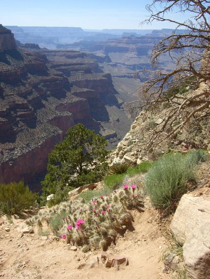 Grand Canyon vom South Kaibab Trail aus gesehen