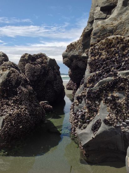 Mal was anderes... Cox Bay Beach !!!