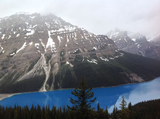 Die Farbe ist fast genau so, wie auf dem Bild.