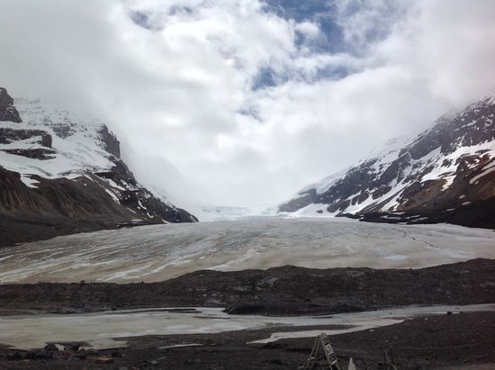 Athabasca Gletscher