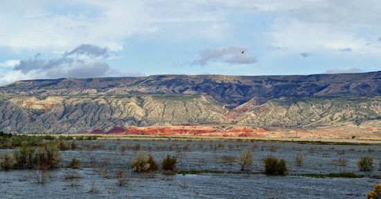 Bighornmountain