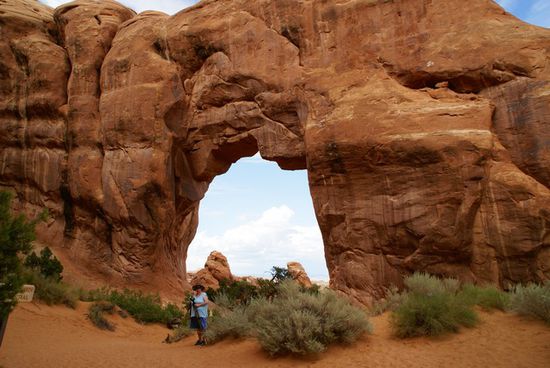 Am "Pine Tree" Arch