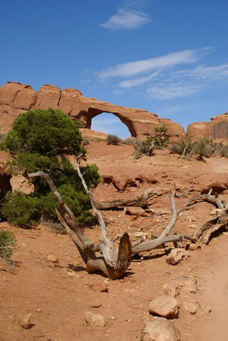 Der "Skyline" Arch