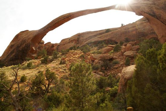 Der "Landscape" Arch