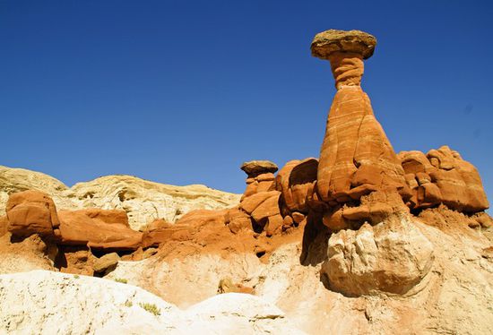 Der Toadstool - Hoodoo