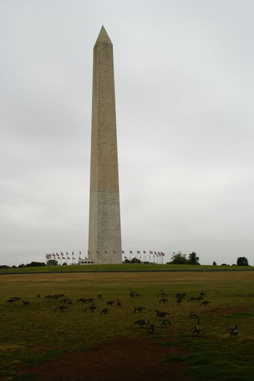 Das Washington Monument