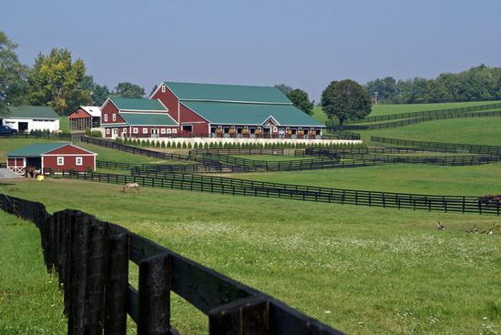Eine Farm