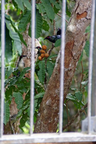 Hier sitzen wir eindeutig hinter "Gittern" !