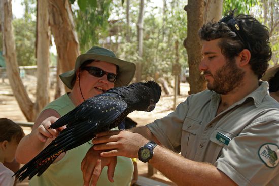 Sag "Hello" zu Babsi!