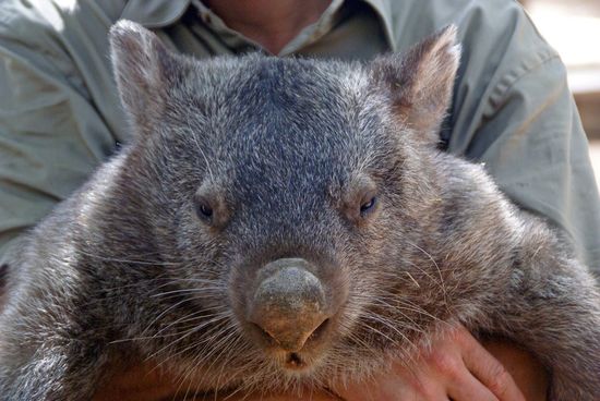 Och, wie laaanngggweeeiiilliiiggg....