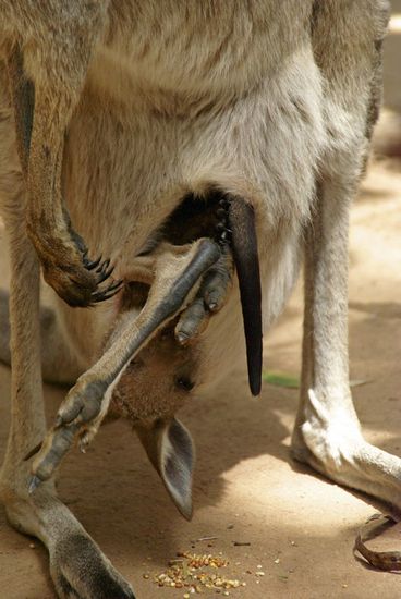 Die Welt steht Kopf...